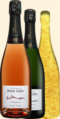 Gamme Champagne Olivier Collin